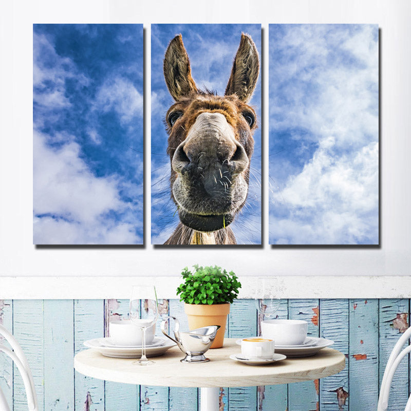 3 Piece Animal Donkey Canvas Art Print Wall Poster-094 (1)