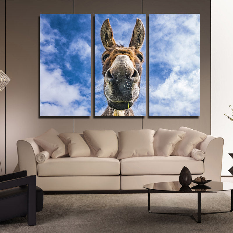 3 Piece Animal Donkey Canvas Art Print Wall Poster-094 (2)