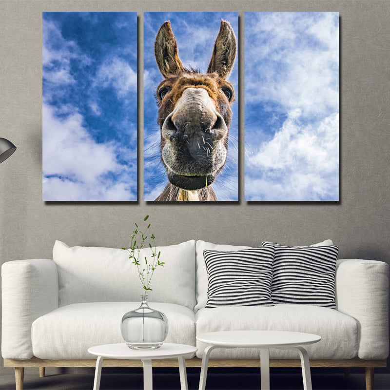 3 Piece Animal Donkey Canvas Art Print Wall Poster-094 (3)