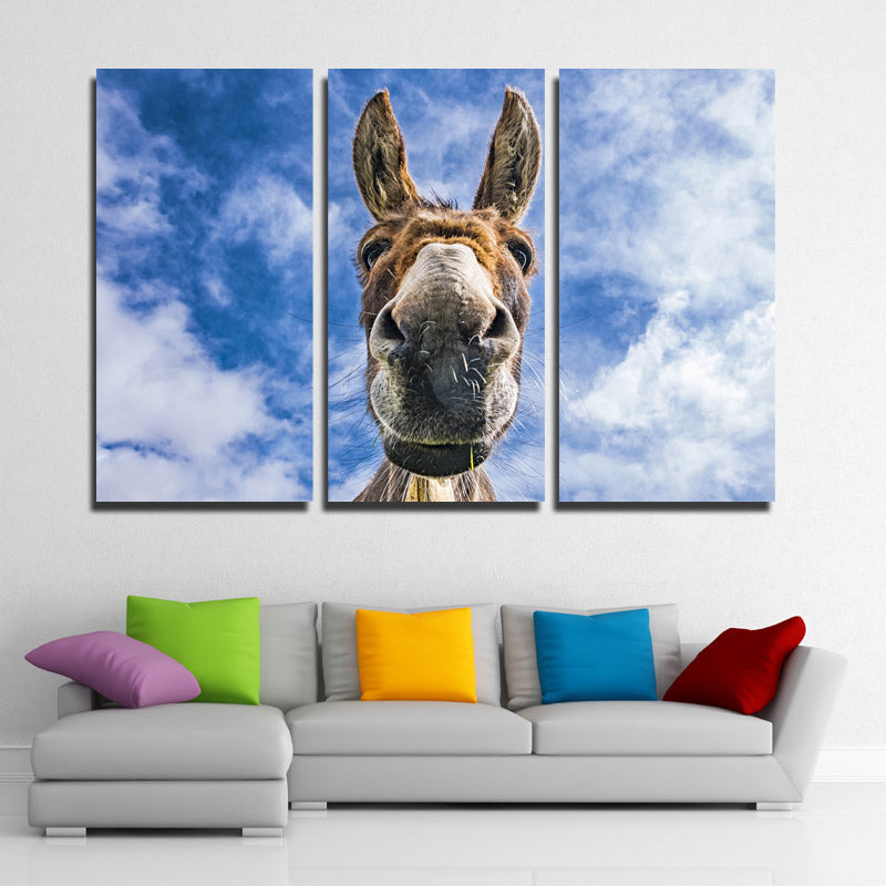 3 Piece Animal Donkey Canvas Art Print Wall Poster-094 (4)