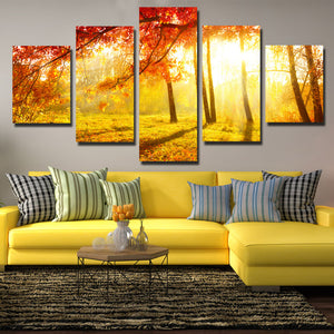 5 Panel Sunshine in Fall Forest Scenery Painting Canvas Print-079 (1)