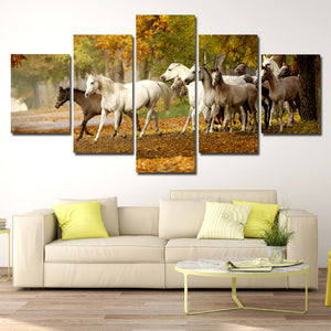 Herd of Horses Wall Art 5 Panel Canvas Print Poster Painting Picture-131 (1)