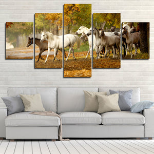 Herd of Horses Wall Art 5 Panel Canvas Print Poster Painting Picture-131 (2)