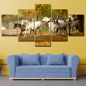 Herd of Horses Wall Art 5 Panel Canvas Print Poster Painting Picture-131 (3)