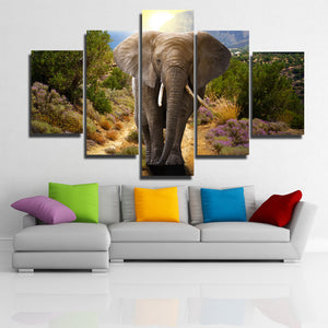 Home Decor Print Picture 5 Panel Animal Elephant Canvas Art-107 (2)