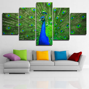 Modern Animal Peacock Prints Picture-111 (1)