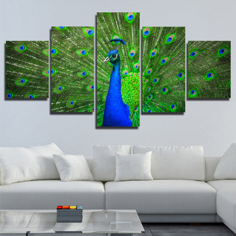 Modern Animal Peacock Prints Picture-111 (2)
