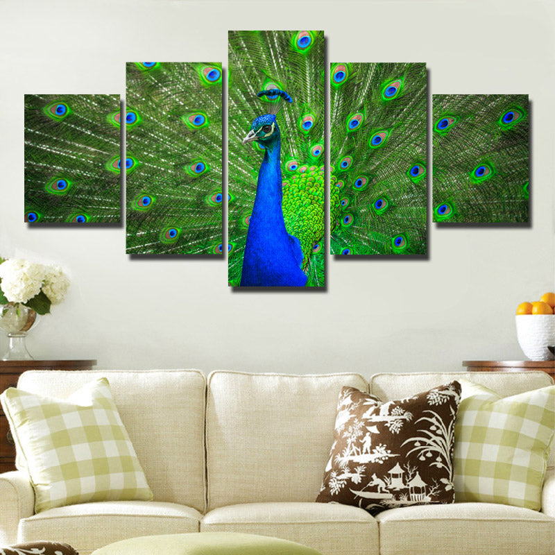 Modern Animal Peacock Prints Picture-111 (3)