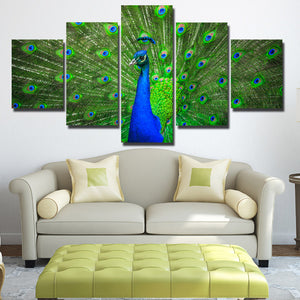 Modern Animal Peacock Prints Picture-111 (4)