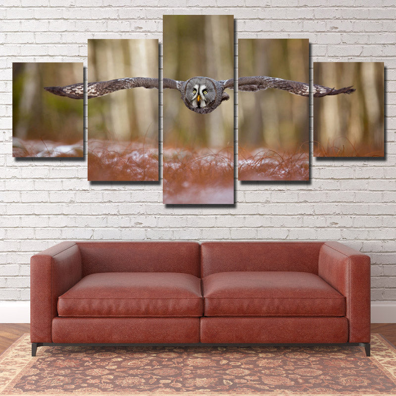 Strix Nebulosa Owl Print Picture Canvas Art 5 Panel Wall Painting- 132(1)