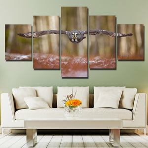 Strix Nebulosa Owl Print Picture Canvas Art 5 Panel Wall Painting- 132(2)