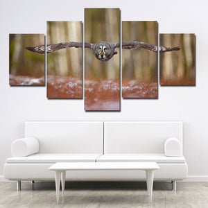 Strix Nebulosa Owl Print Picture Canvas Art 5 Panel Wall Painting- 132(3)