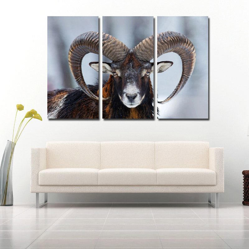 Wild Sheep Wall Art Print Picture 3 Panel Animal Canvas Painting Decor-117 (2)